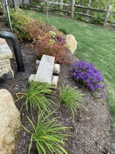 Chinquapin Land Company