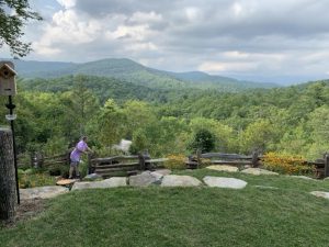 Chinquapin Land Company