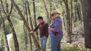 Riverstone Custom Builders